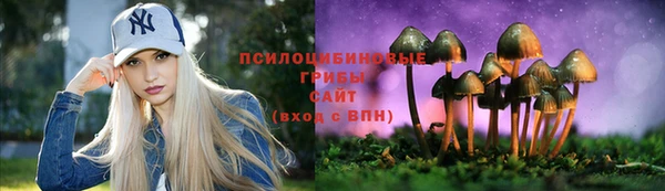 Альфа ПВП Кукмор