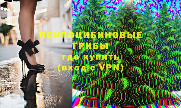 гидра Кулебаки