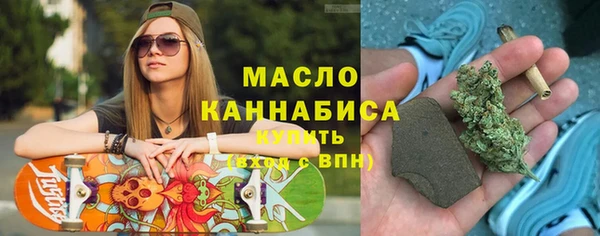 гидра Кулебаки