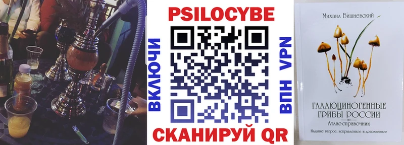 Псилоцибиновые грибы MAGIC MUSHROOMS  купить  цена  Тутаев 